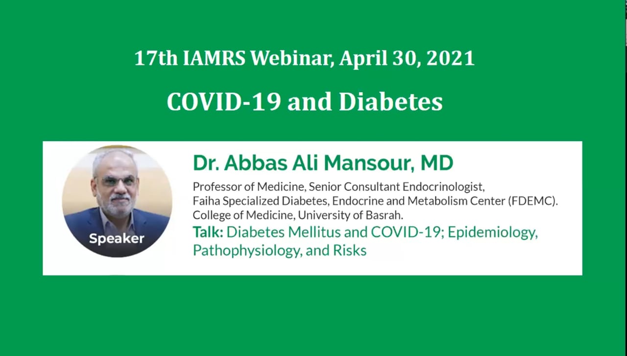 17th IAMRS Webinar
